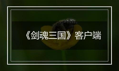 《剑魂三国》客户端