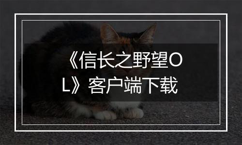 《信长之野望OL》客户端下载