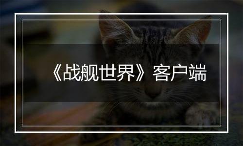 《战舰世界》客户端