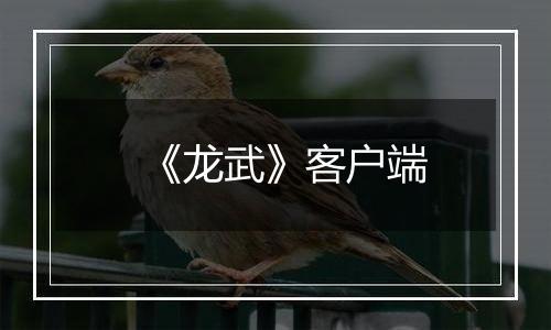 《龙武》客户端