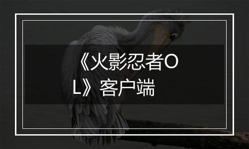 《火影忍者OL》客户端