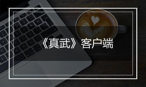 《真武》客户端