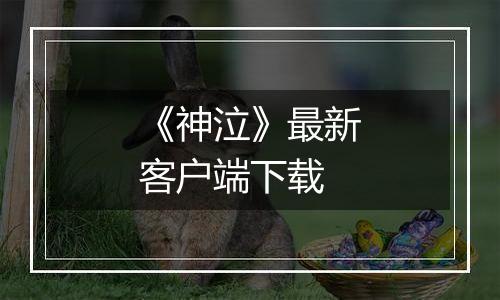 《神泣》最新客户端下载