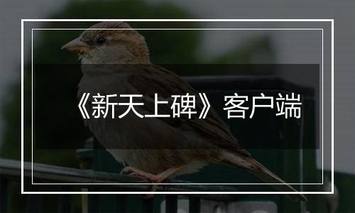 《新天上碑》客户端
