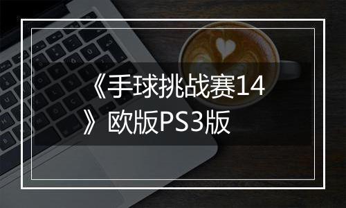 《手球挑战赛14》欧版PS3版