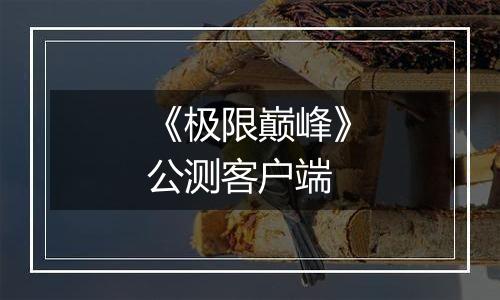《极限巅峰》公测客户端