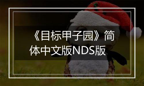 《目标甲子园》简体中文版NDS版