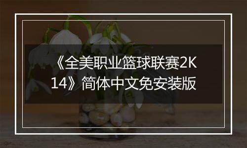《全美职业篮球联赛2K14》简体中文免安装版