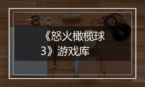 《怒火橄榄球3》游戏库