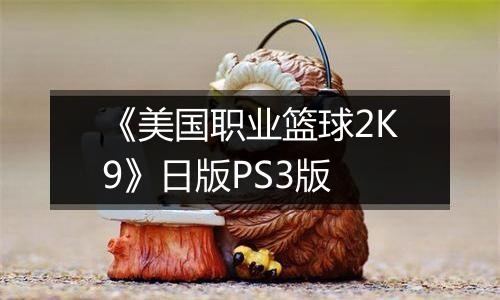 《美国职业篮球2K9》日版PS3版