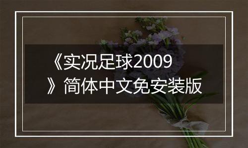 《实况足球2009》简体中文免安装版