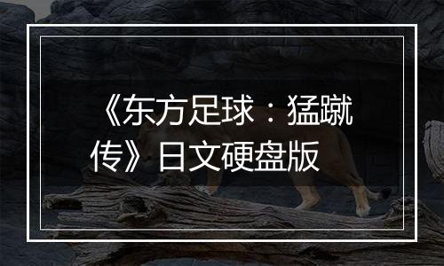 《东方足球：猛蹴传》日文硬盘版