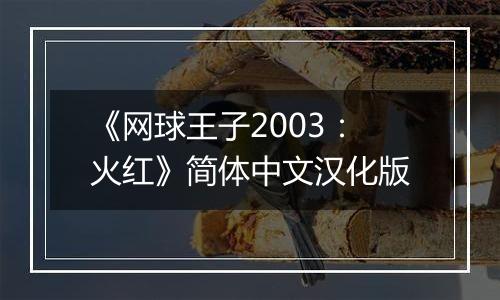 《网球王子2003：火红》简体中文汉化版