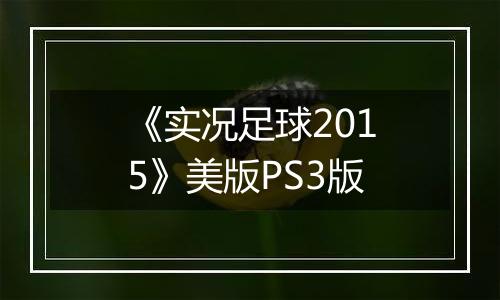 《实况足球2015》美版PS3版
