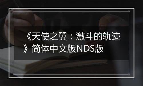 《天使之翼：激斗的轨迹》简体中文版NDS版
