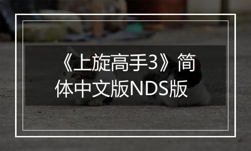《上旋高手3》简体中文版NDS版