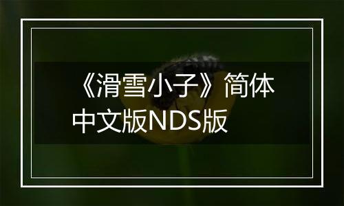 《滑雪小子》简体中文版NDS版