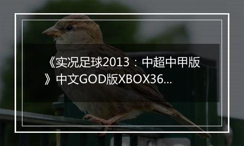 《实况足球2013：中超中甲版》中文GOD版XBOX360版