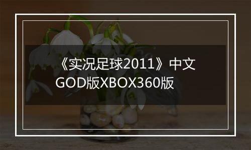 《实况足球2011》中文GOD版XBOX360版