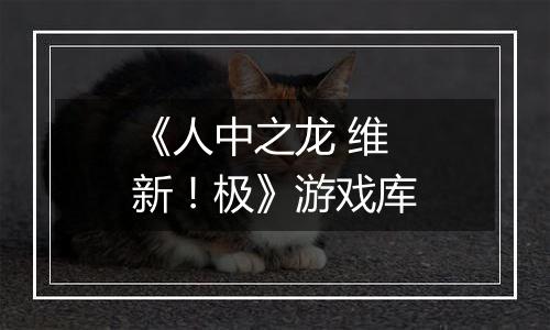 《人中之龙 维新！极》游戏库