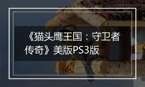 《猫头鹰王国：守卫者传奇》美版PS3版