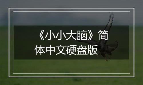 《小小大脑》简体中文硬盘版