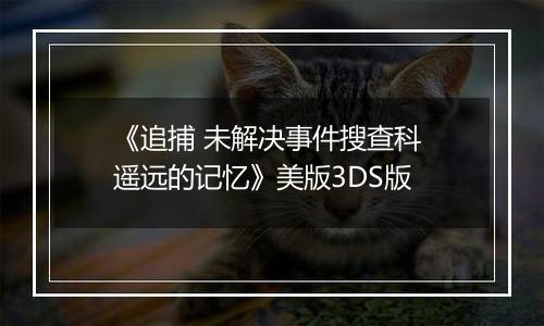 《追捕 未解决事件搜查科 遥远的记忆》美版3DS版