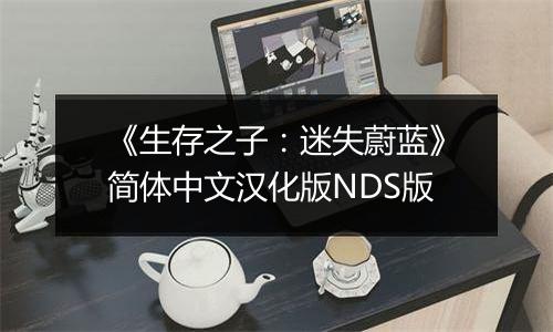 《生存之子：迷失蔚蓝》简体中文汉化版NDS版