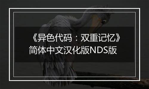 《异色代码：双重记忆》简体中文汉化版NDS版