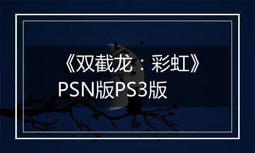 《双截龙：彩虹》PSN版PS3版