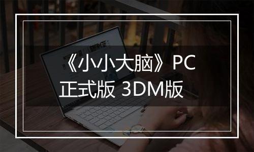 《小小大脑》PC正式版 3DM版