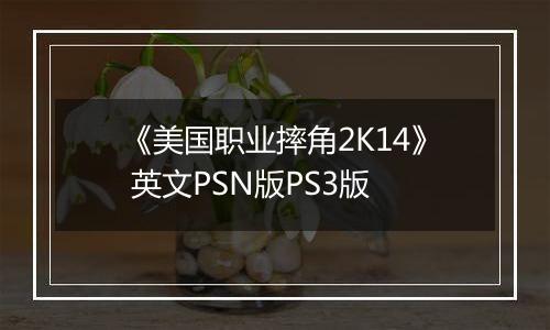 《美国职业摔角2K14》 英文PSN版PS3版