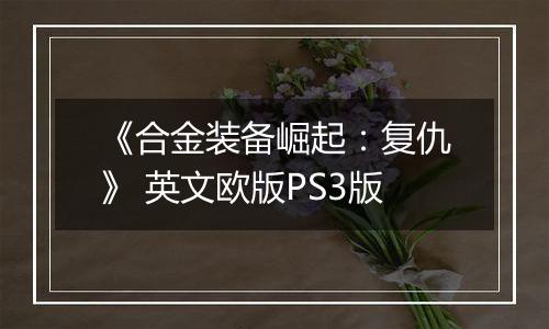 《合金装备崛起：复仇》 英文欧版PS3版