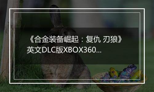 《合金装备崛起：复仇 刃狼》 英文DLC版XBOX360版