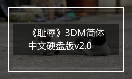 《耻辱》3DM简体中文硬盘版v2.0