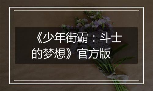 《少年街霸：斗士的梦想》官方版