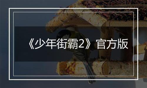 《少年街霸2》官方版