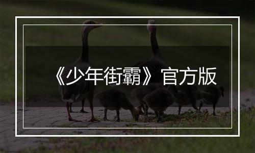 《少年街霸》官方版