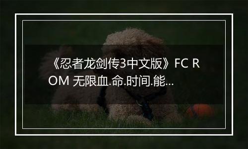 《忍者龙剑传3中文版》FC ROM 无限血.命.时间.能量版