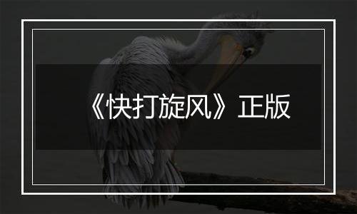 《快打旋风》正版