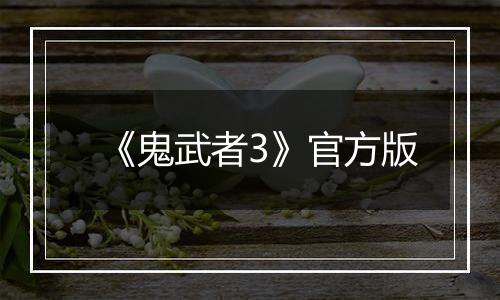 《鬼武者3》官方版