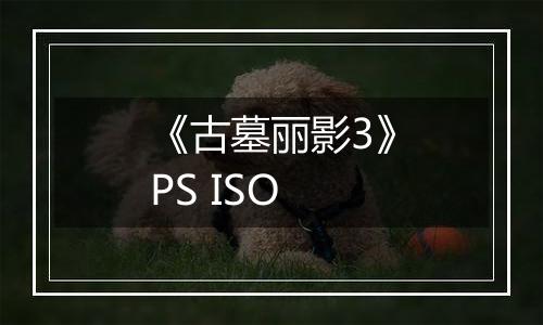 《古墓丽影3》PS ISO