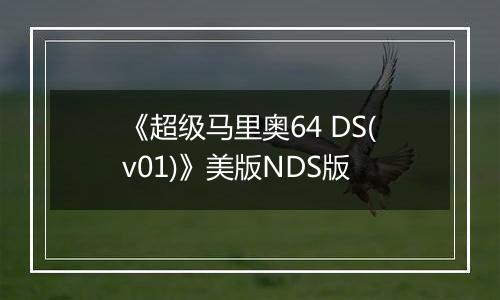 《超级马里奥64 DS(v01)》美版NDS版
