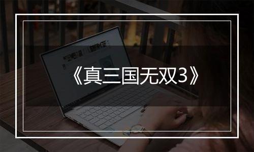 《真三国无双3》