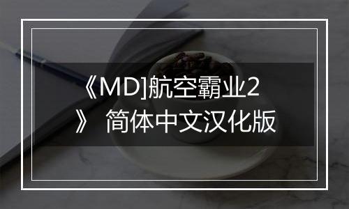 《MD]航空霸业2》 简体中文汉化版