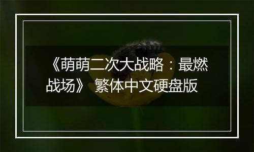 《萌萌二次大战略：最燃战场》 繁体中文硬盘版
