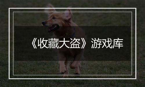 《收藏大盗》游戏库