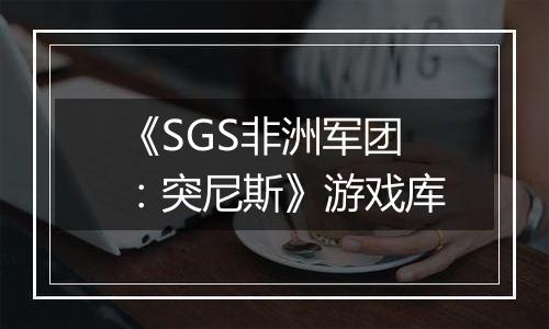 《SGS非洲军团：突尼斯》游戏库