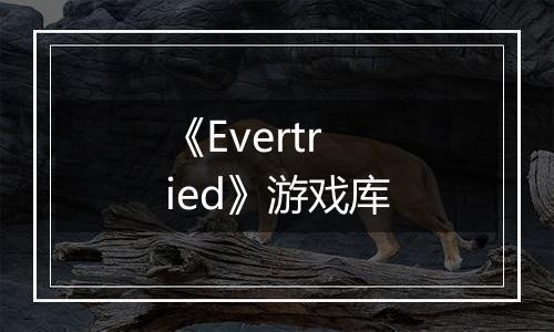 《Evertried》游戏库