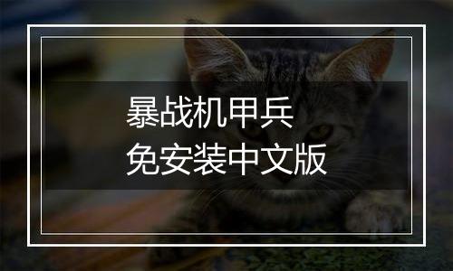 暴战机甲兵 免安装中文版